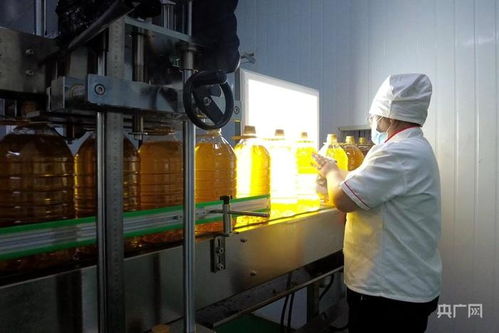 高質量發(fā)展 新 速度丨新疆高質量推動糧油產(chǎn)業(yè)集群建設