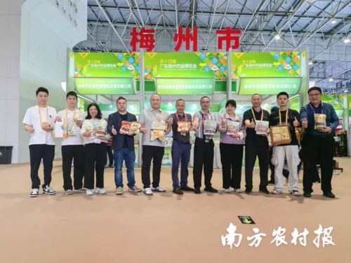 智創(chuàng)未來(lái)，AI賦能 蕉嶺毛竹品牌煥新，實(shí)業(yè)公司引領(lǐng)產(chǎn)業(yè)升級(jí)